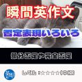【瞬間英作文：否定表現】部分否定や完全否定、マイルドな否定も