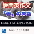 【瞬間英作文：春】春の出来事を英語にしてみよう！