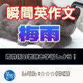 【瞬間英作文：梅雨】雨関連の表現を学習しよう！